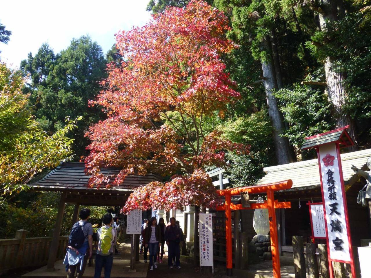 Togakubo Hotel Isehara Eksteriør billede